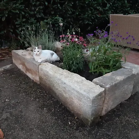 Elsa Mit Sauna Und Whirlpool *