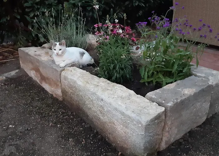 Elsa Mit Sauna Und Whirlpool *